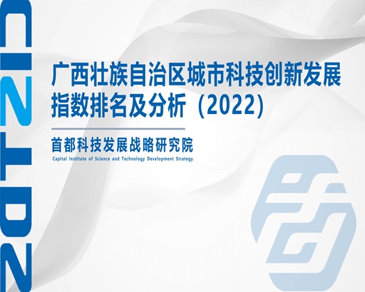 动漫美女被艹视频网站【成果发布】广西壮族自治区城市科技创新发展指数排名及分析（2022）